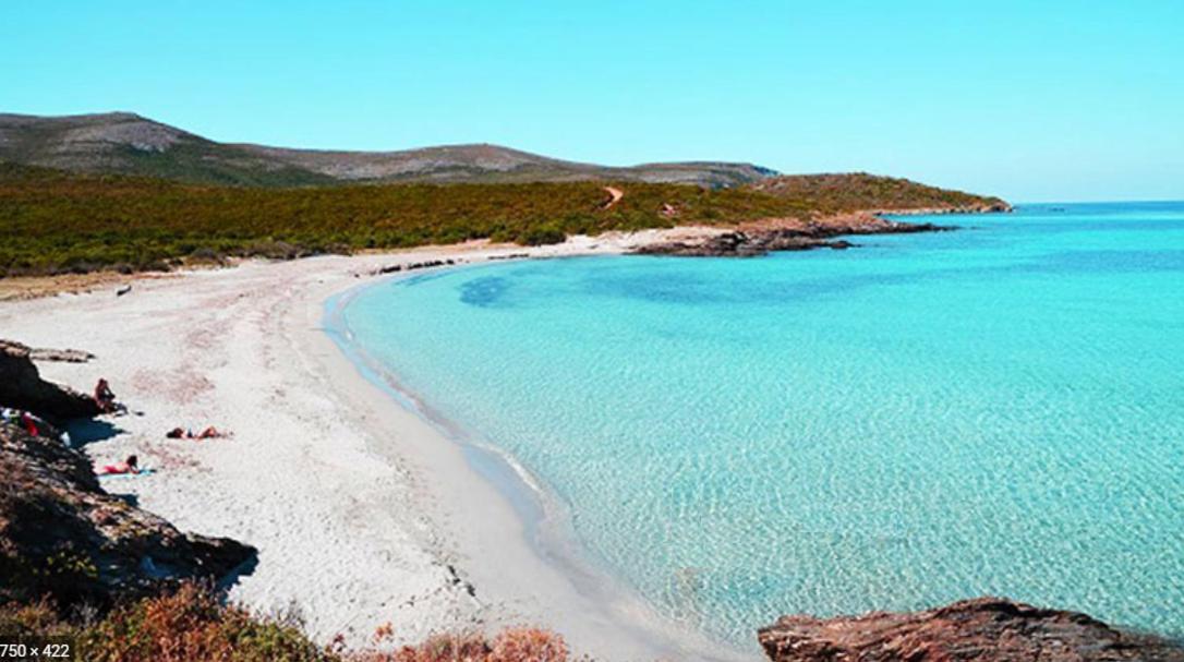 Coin De Paradis Vue Dominante Sur Mer, Montagne Et Tour Genoise Avec Jacuzzi Pino Dış mekan fotoğraf