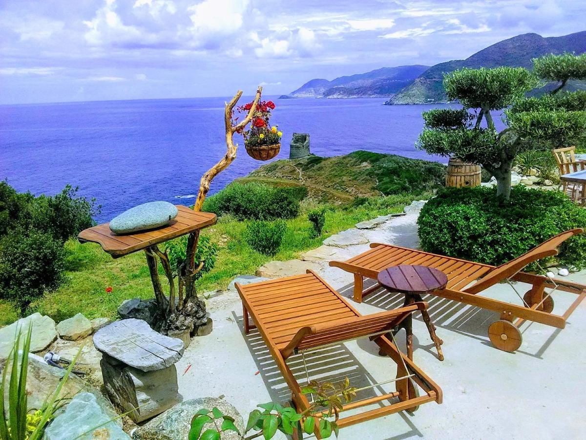 Coin De Paradis Vue Dominante Sur Mer, Montagne Et Tour Genoise Avec Jacuzzi Pino Dış mekan fotoğraf