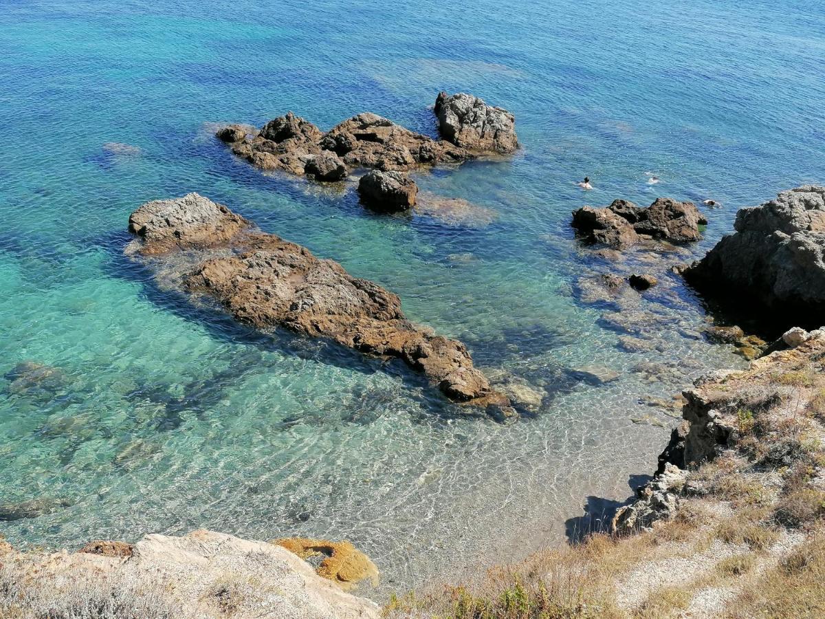 Coin De Paradis Vue Dominante Sur Mer, Montagne Et Tour Genoise Avec Jacuzzi Pino Dış mekan fotoğraf