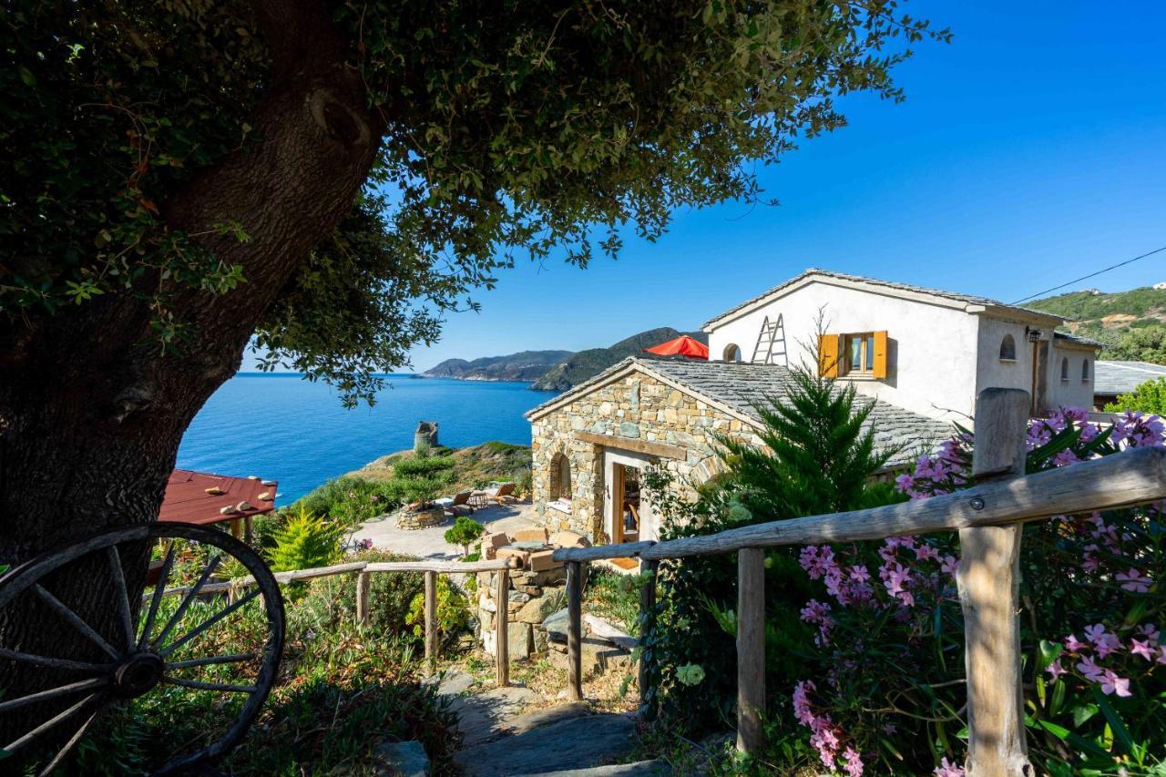 Coin De Paradis Vue Dominante Sur Mer, Montagne Et Tour Genoise Avec Jacuzzi Pino Dış mekan fotoğraf