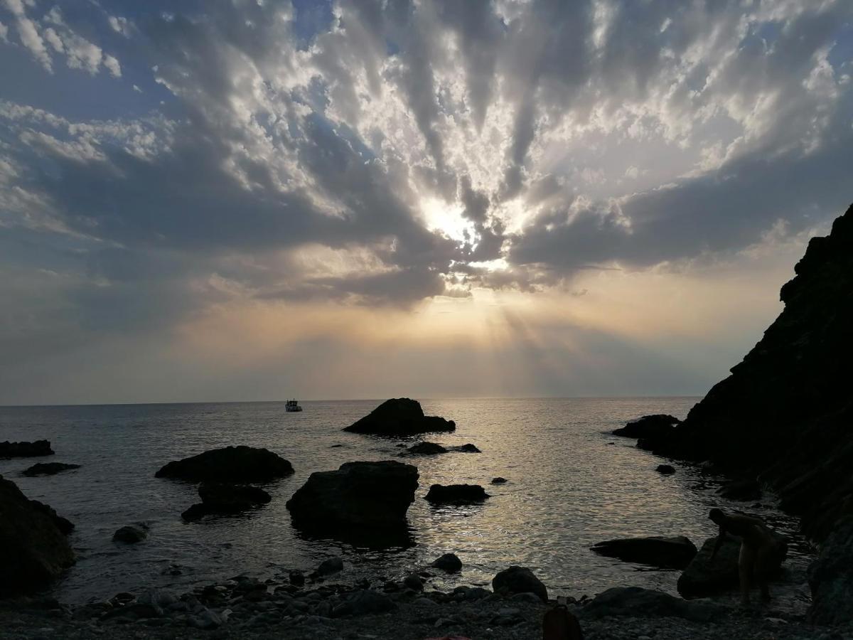 Coin De Paradis Vue Dominante Sur Mer, Montagne Et Tour Genoise Avec Jacuzzi Pino Dış mekan fotoğraf